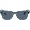 Ray-Ban Wayfarer