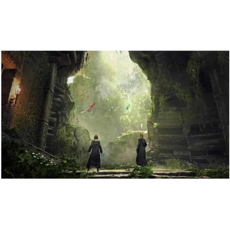 Игра Hogwarts Legacy (Хогвартс. Наследие) для PS5