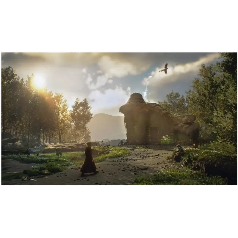 Игра Hogwarts Legacy (Хогвартс. Наследие) для PS5