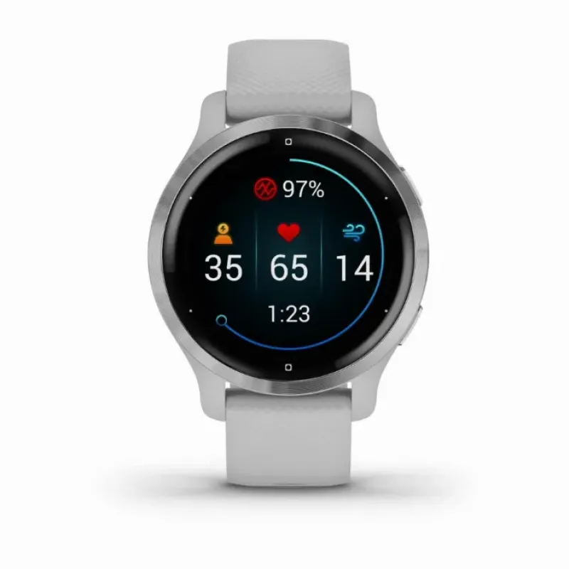 Умные часы Garmin Venu 2S, серебристый