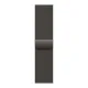 Смарт-часы Apple Watch Series 11 (M/L), 42 мм, LTE, Slate Titanium, графитовый титан